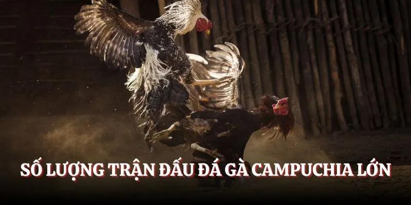 Số lượng trận đấu lớn kịch tính