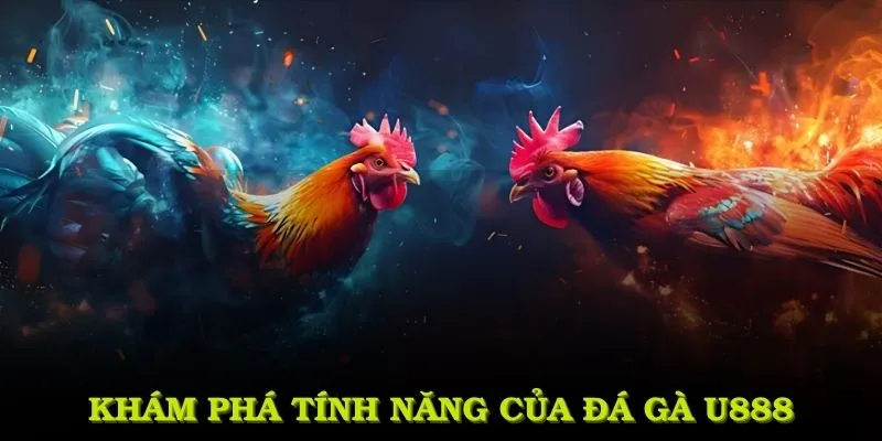 Khám phá những tính năng vượt trội của đá gà U888 được người chơi đánh giá cao