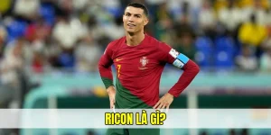 ricon là gì